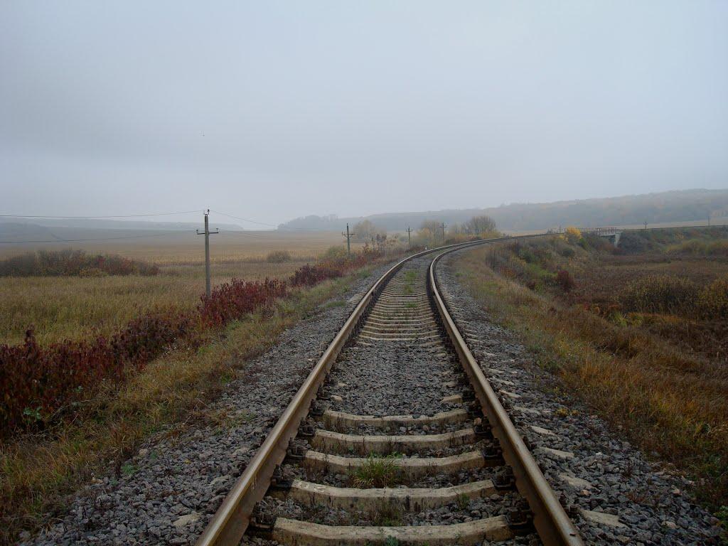 Вільхівці з panoramio.com - Вільхівці