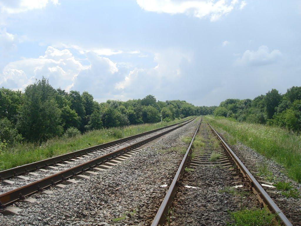 Шепетівка з panoramio.com (ч.2) - Шепетовка