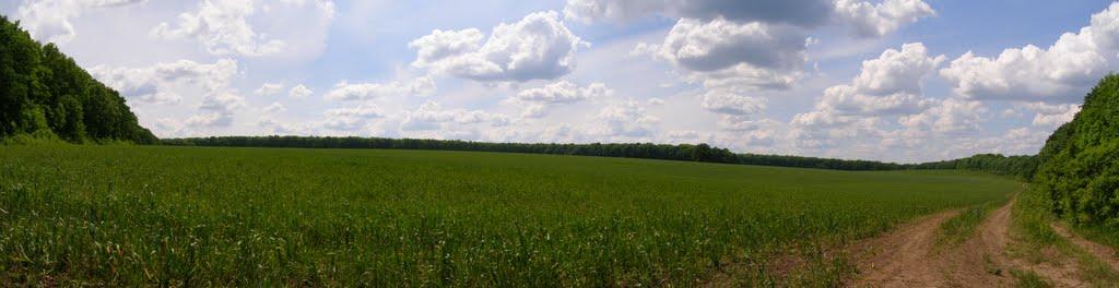 Зайченки з panoramio.com - Зайченки