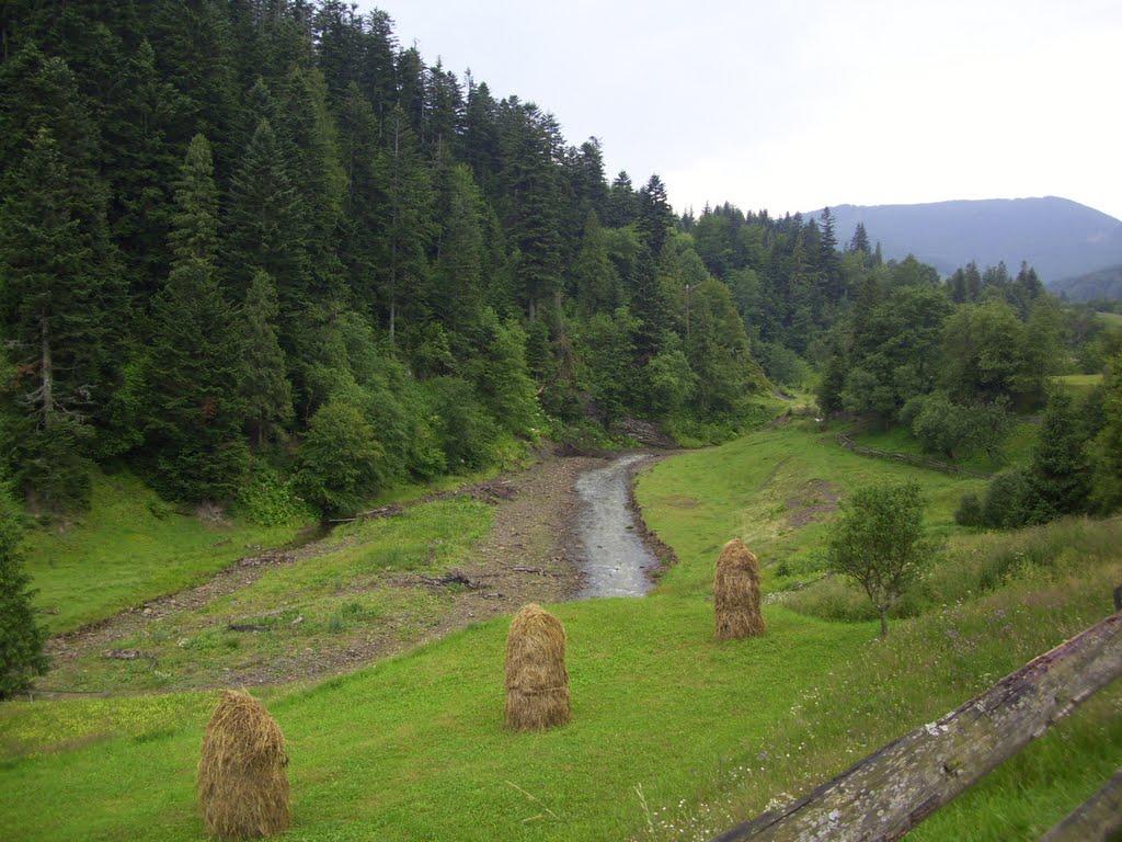 Лужки з panoramio.com - Лужки