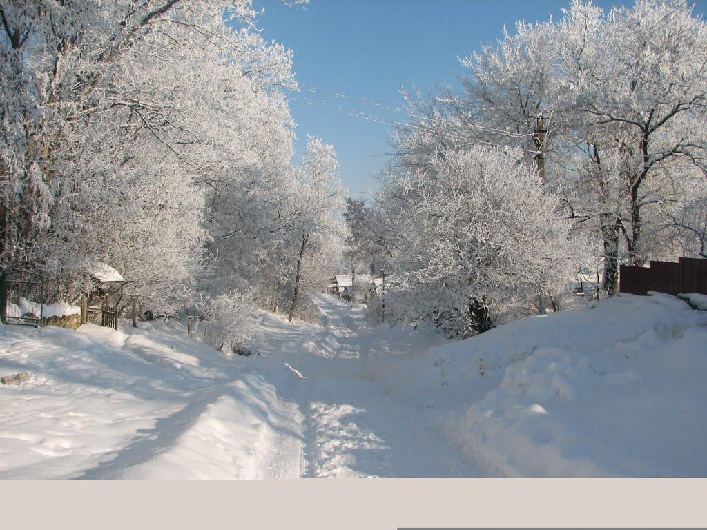 Черешенька з panoramio.com - Черешенька