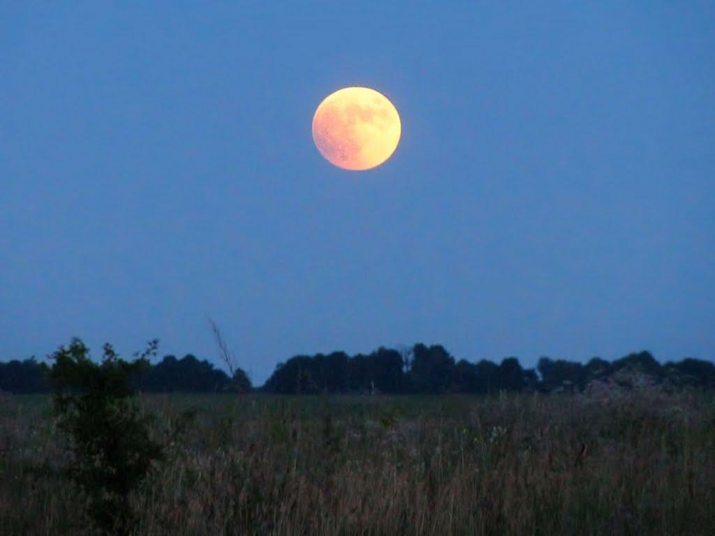 Товкачівка з panoramio.com - Товкачівка