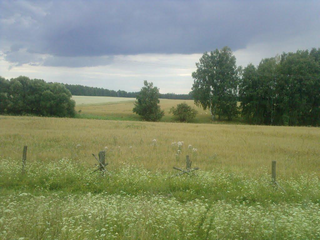 Безкровне з panoramio.com - Безкровне