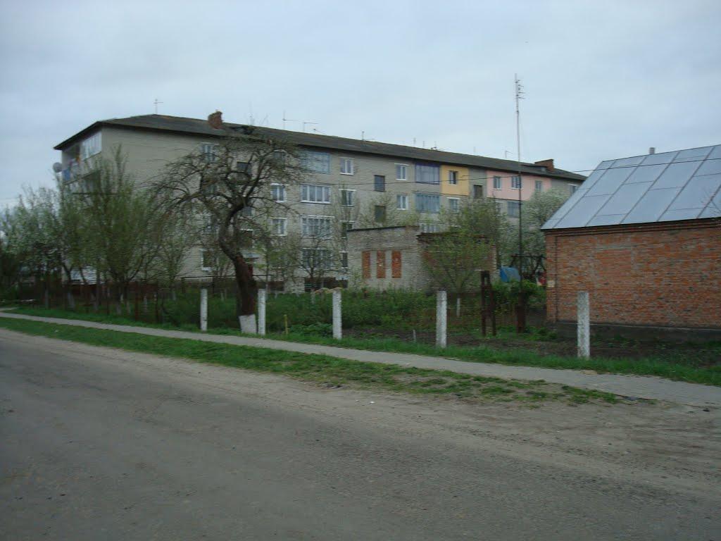 Голоби з panoramio.com - Голоби