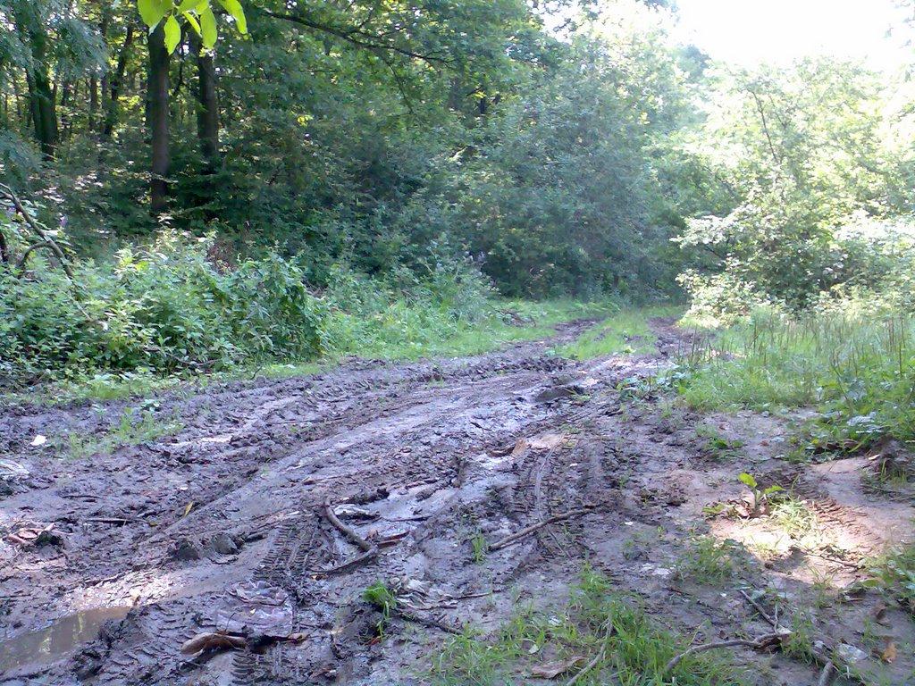 Винники з panoramio.com - Vynnyky