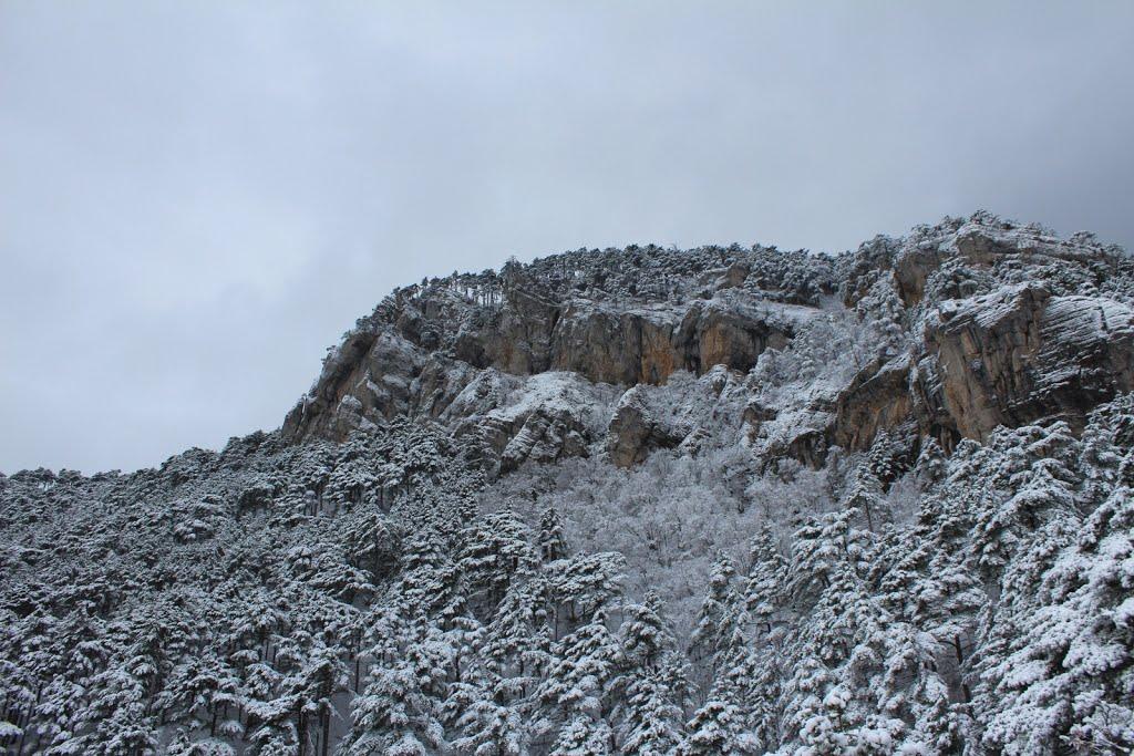 Виноградне з panoramio.com - Виноградное