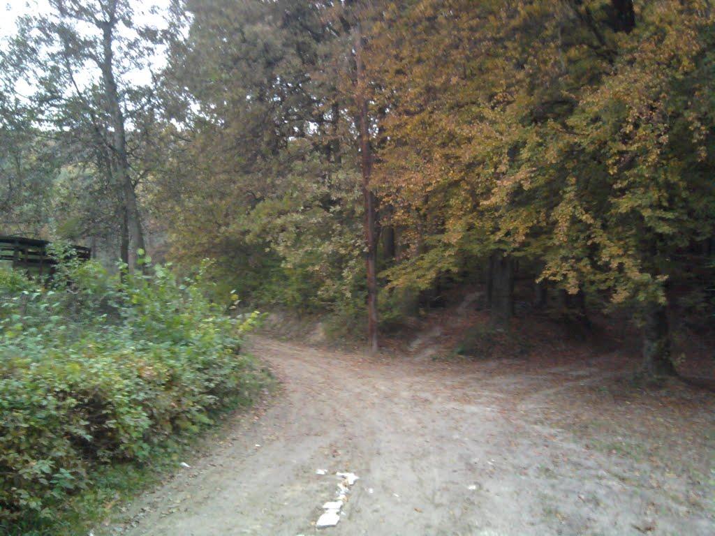 Винники з panoramio.com - Винники