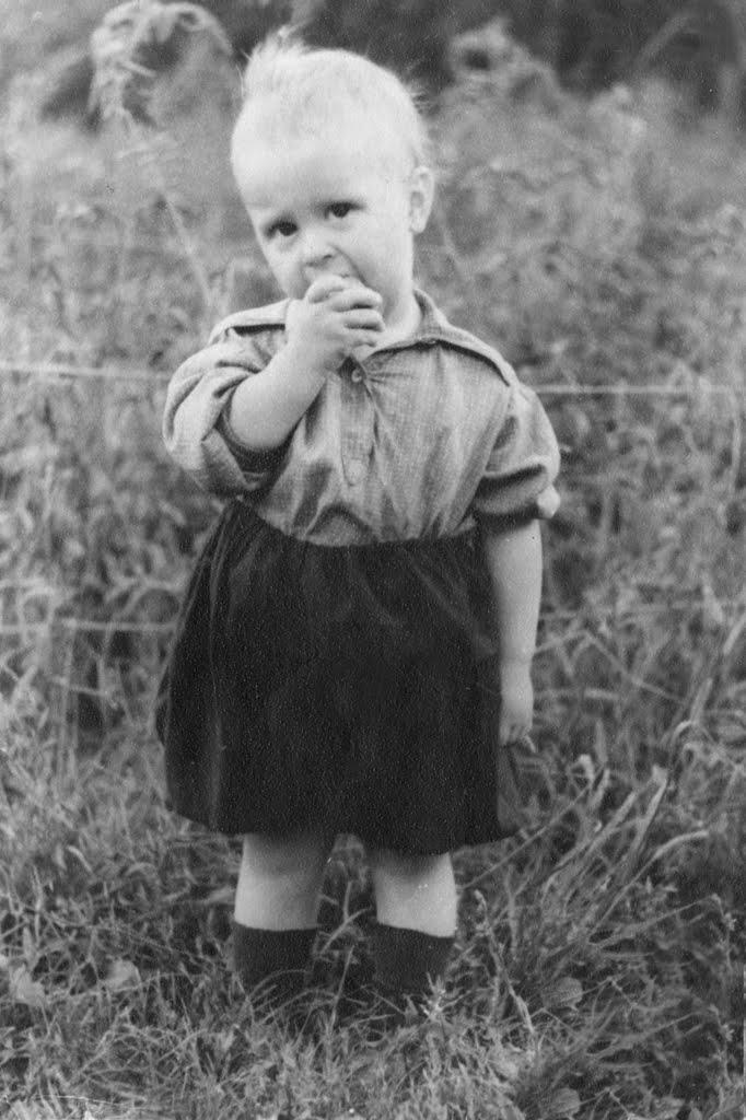 Покотилівка з panoramio.com - Покотилівка