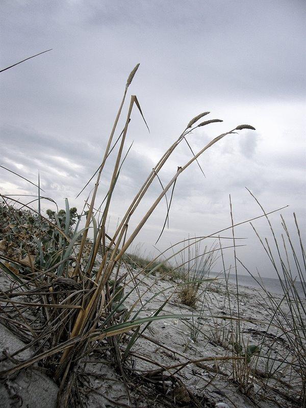 Покровка з panoramio.com - Покровка