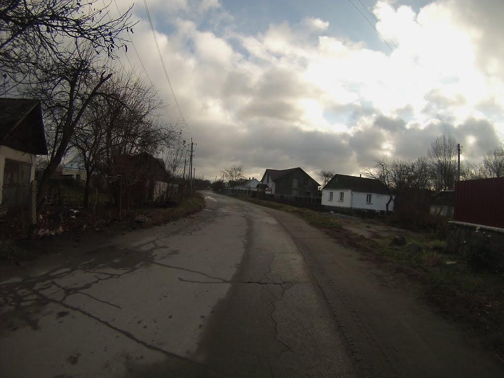 Новоград-Волинський з panoramio.com (ч.3) - Новоград-Волинський