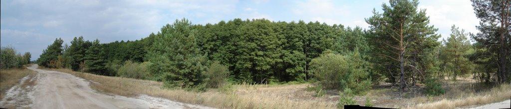 Лошакова Гута з panoramio.com - Лошакова Гута