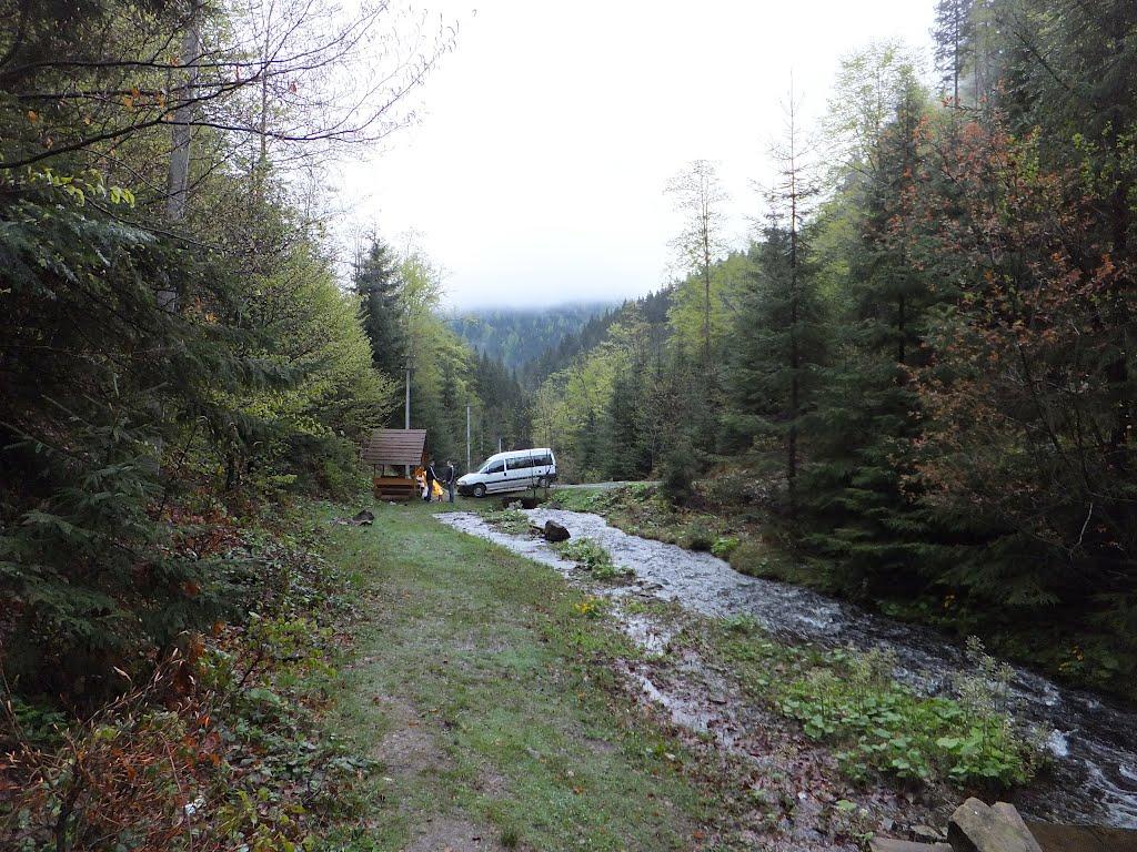 Синевирська Поляна з panoramio.com - Синевирська Поляна