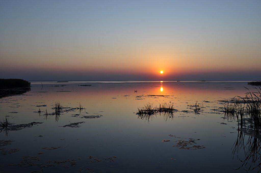 Лошакова Гута з panoramio.com - Loshakova Guta