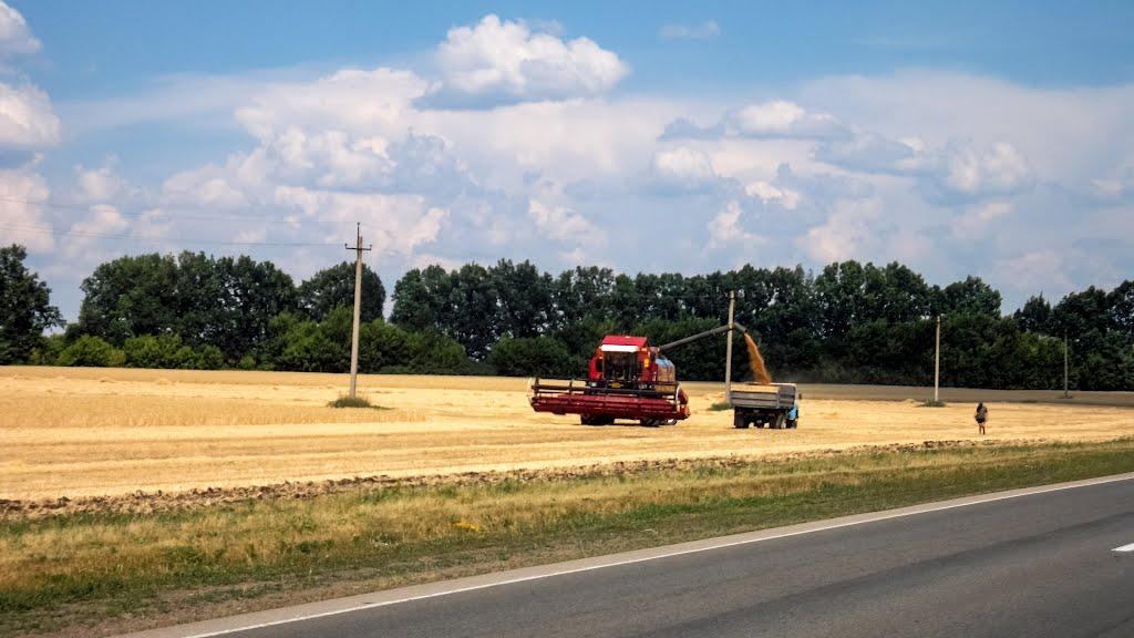 Куріпчине з panoramio.com - Куріпчине