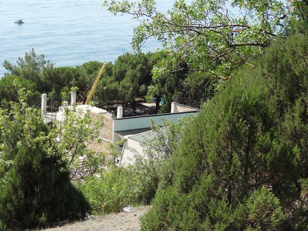 Привітне з panoramio.com (ч.2) - Привітне