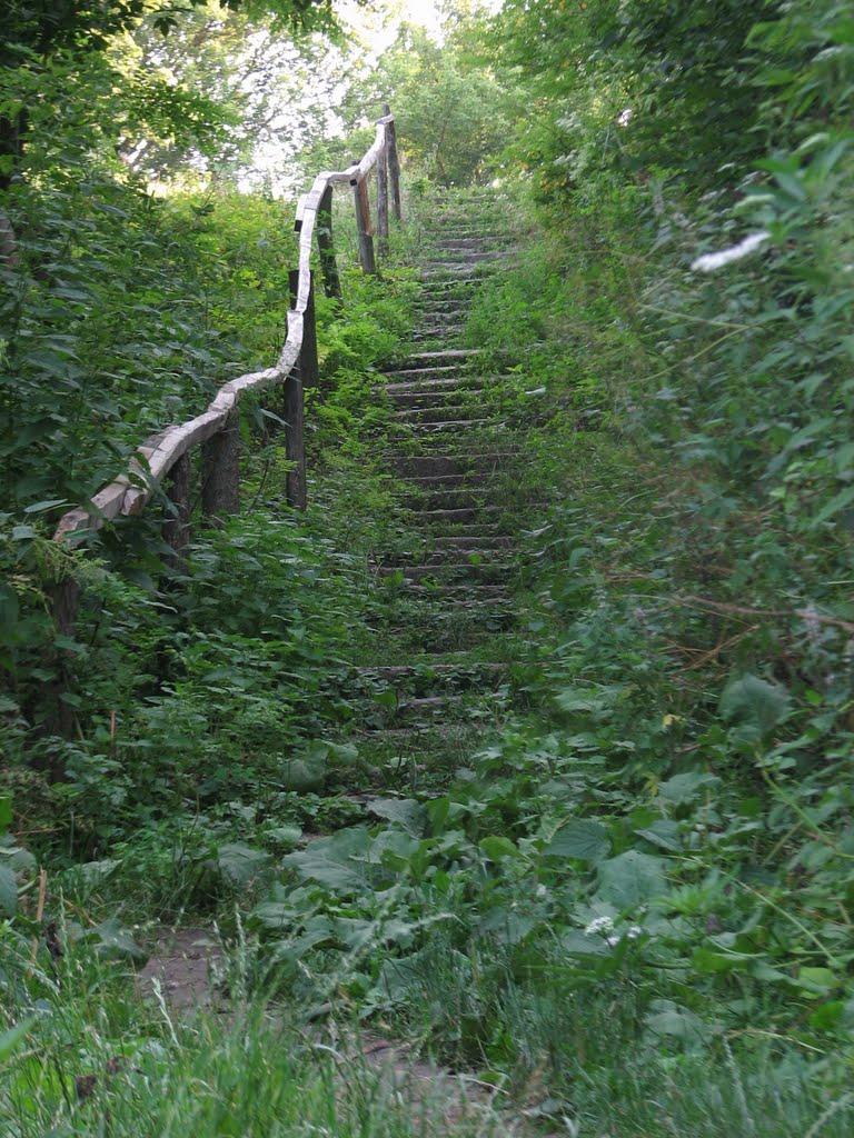 Кам'яний Брід з panoramio.com - Кам'яний Брід