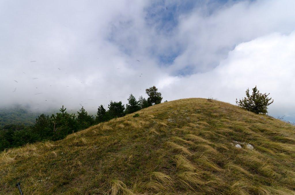 Лучисте з panoramio.com (ч.2) - Luchyste