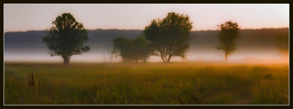 Суха Гомільша з panoramio.com - Суха Гомільша