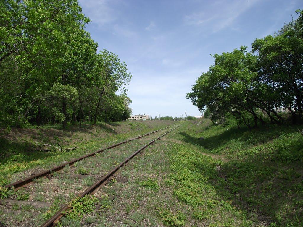 Кіровське з panoramio.com - Кировское