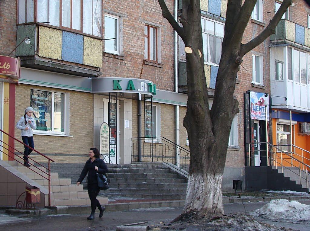 Сміла з panoramio.com (ч.2) - Смела