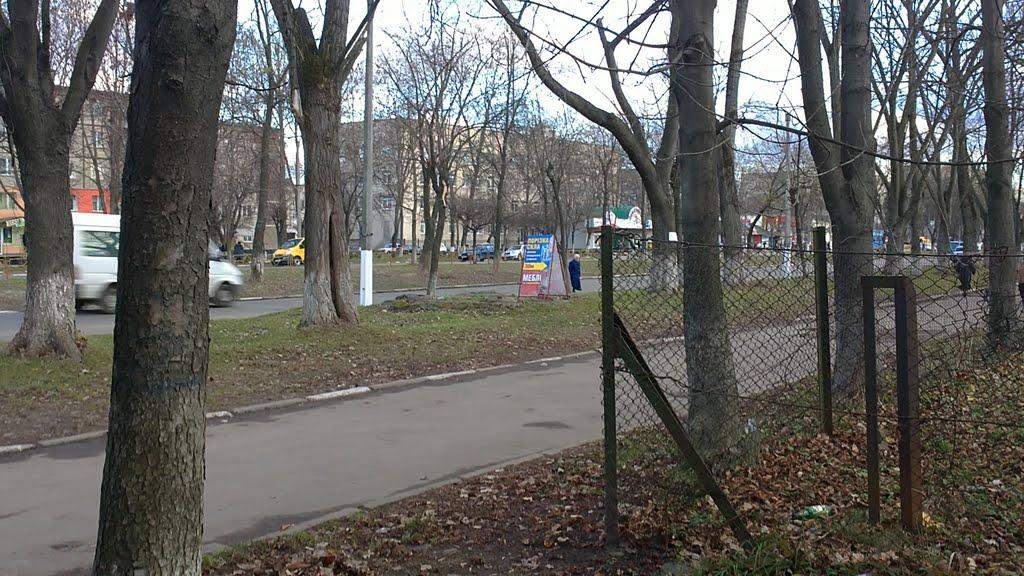 Калуш з panoramio.com (ч.2) - Калуш