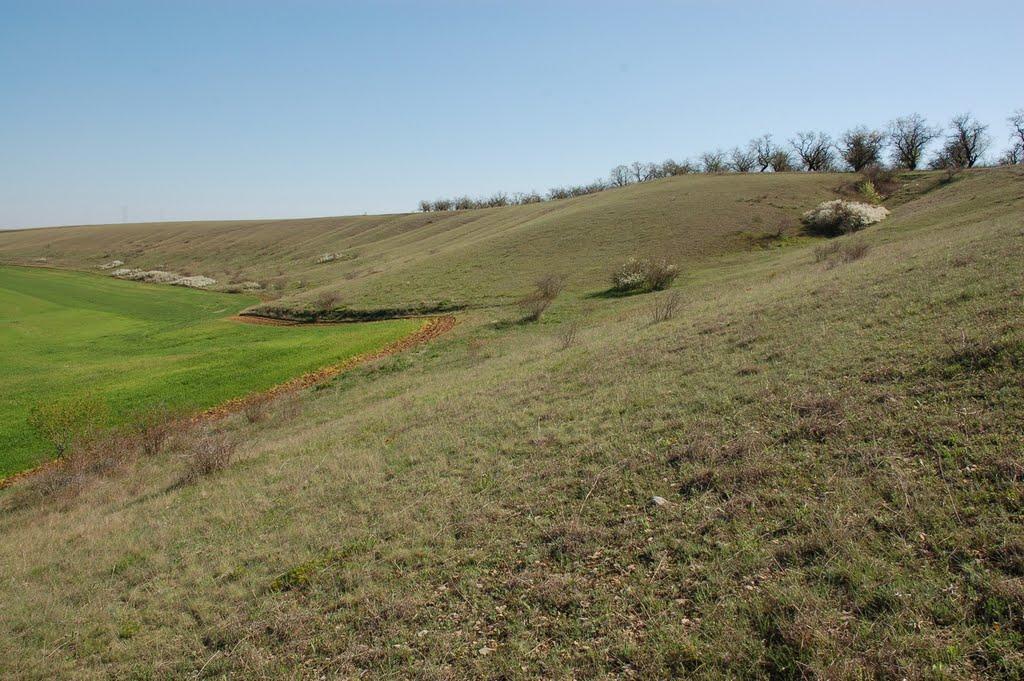 Водне з panoramio.com - Водне