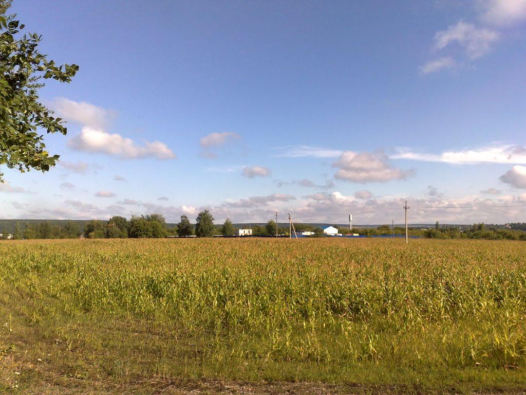 Шабельне з panoramio.com - Шабельне