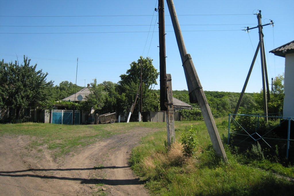 Шовкова Протока з panoramio.com - Шовкова Протока