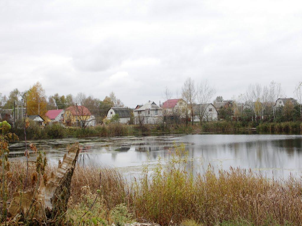 Мала Стариця з panoramio.com - Мала Стариця