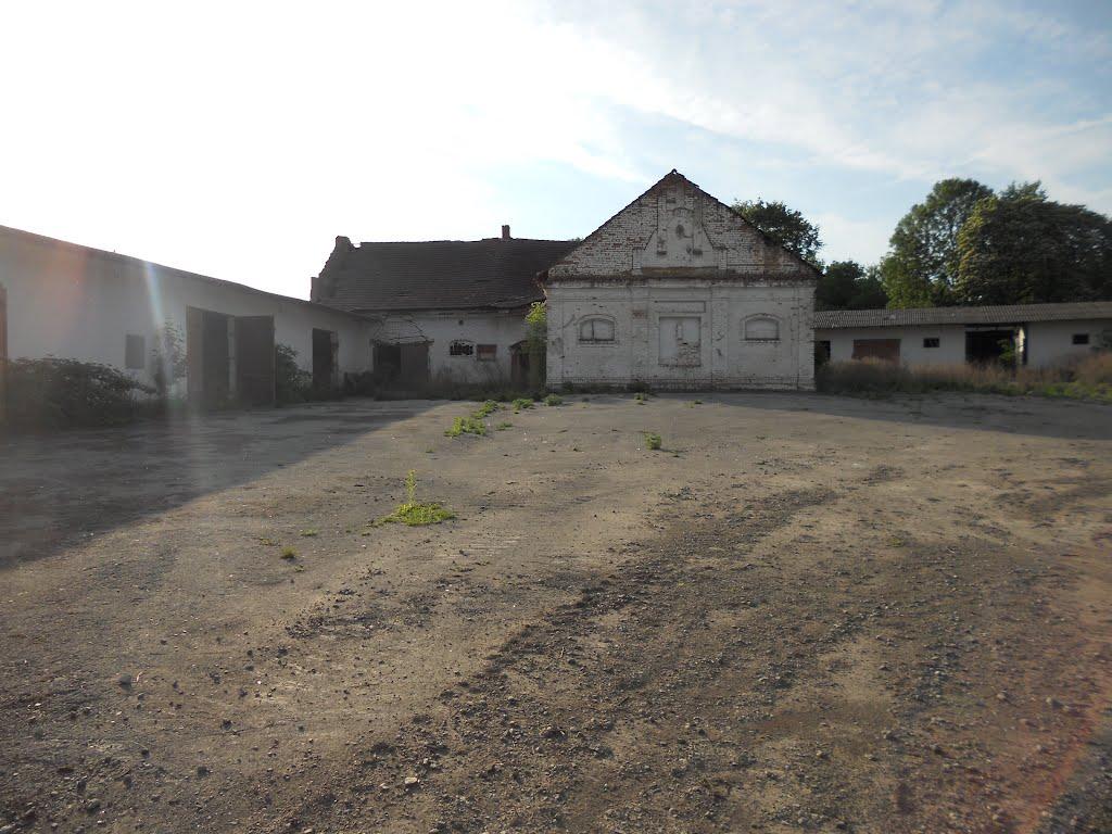 Товстеньке з panoramio.com - Товстеньке