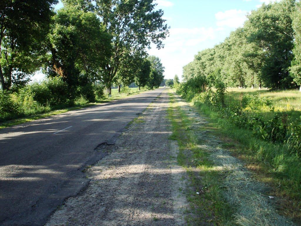 Брусилів з panoramio.com - Брусилів