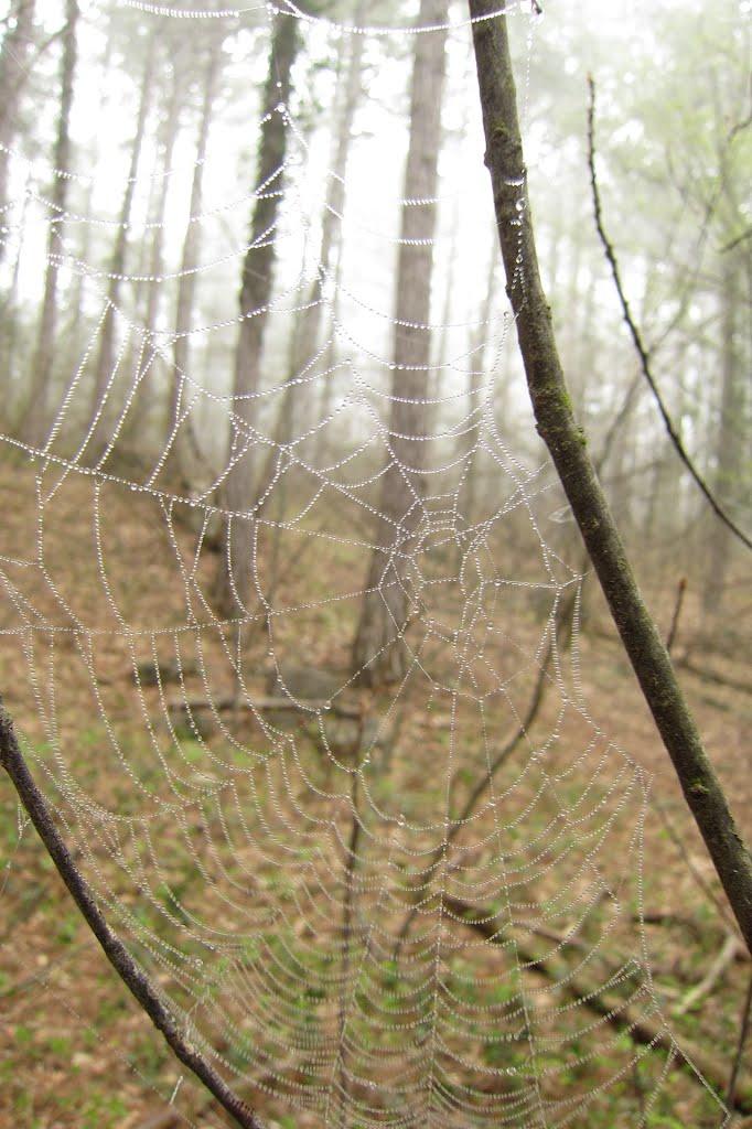 Високогірне з panoramio.com - Высокогорное