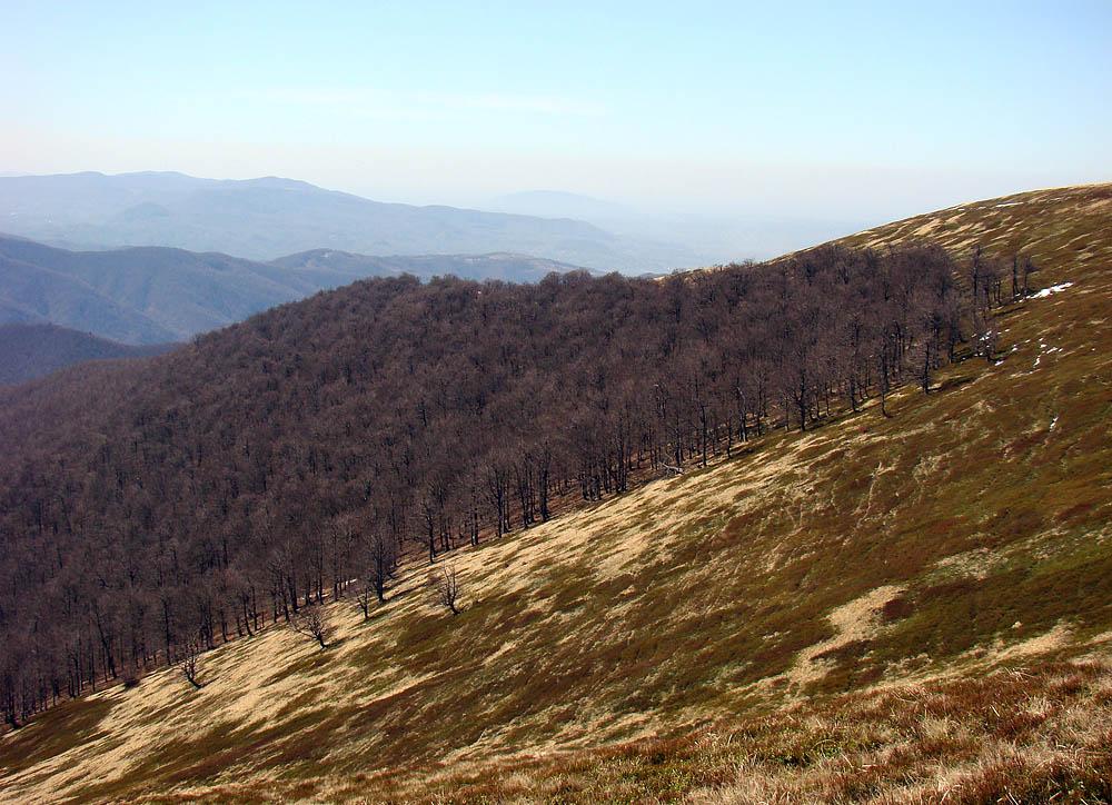 Сопки з panoramio.com - Сопки