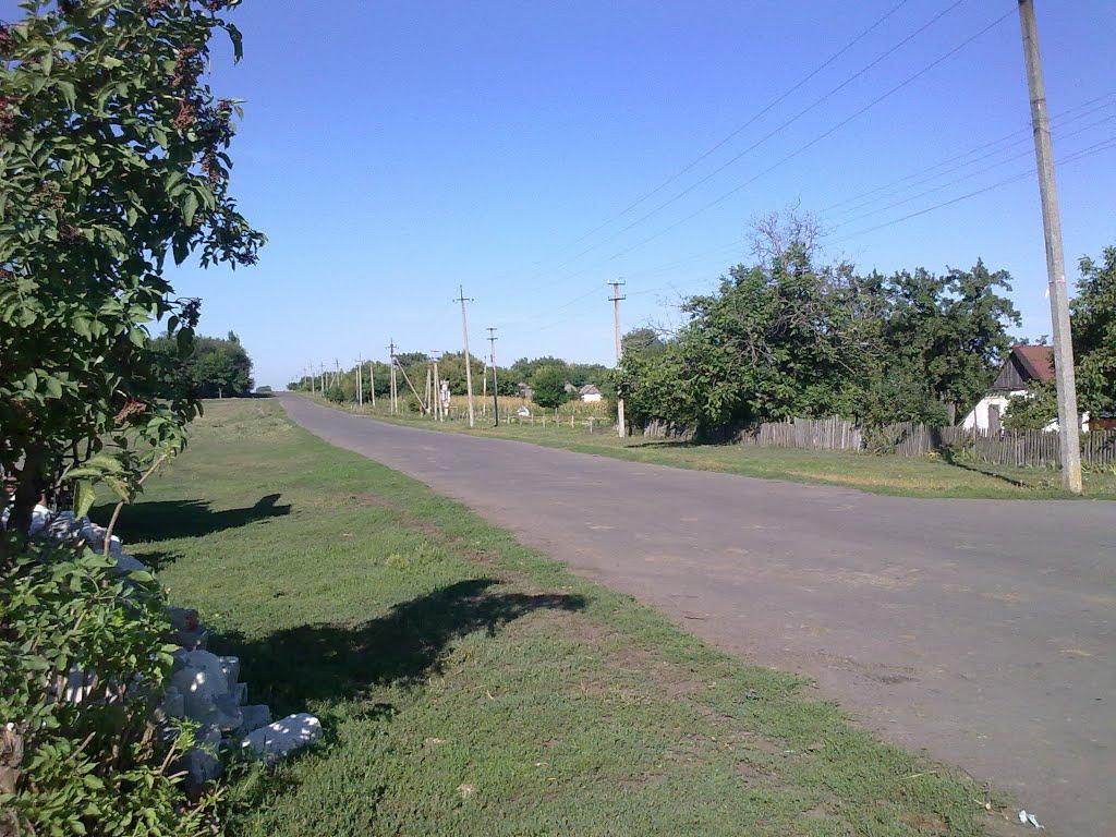 Садки з panoramio.com - Садки