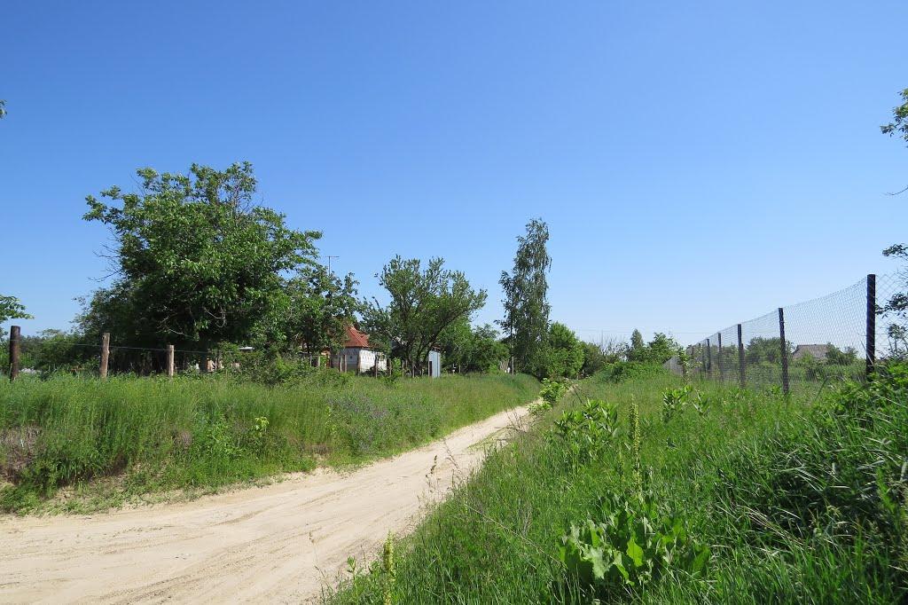 Софіївка з panoramio.com - Софиевка