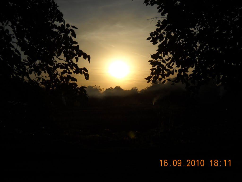 Мачухи з panoramio.com - Мачехи