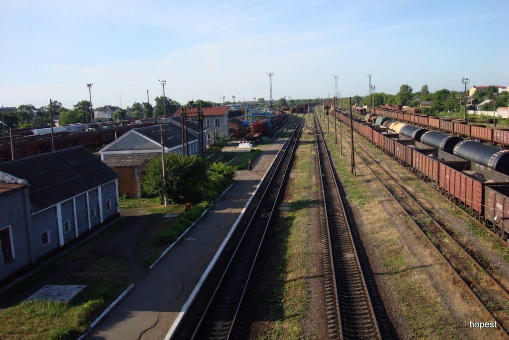 Требухівці з panoramio.com - Требуховцы