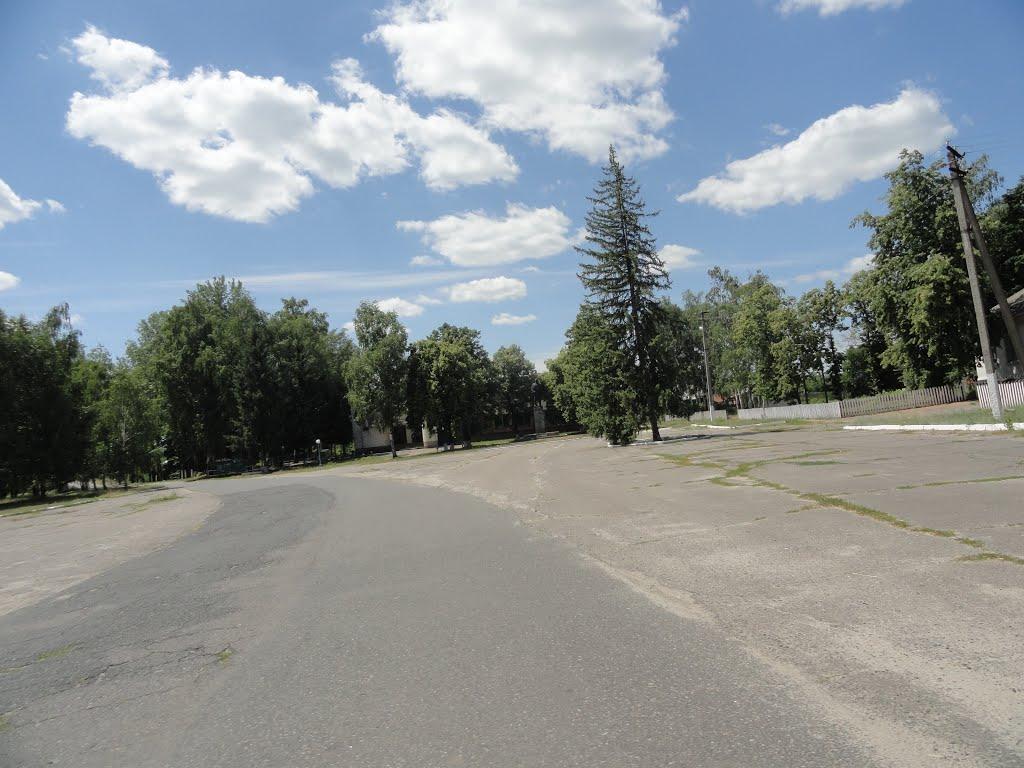 Деревки з panoramio.com - Деревки