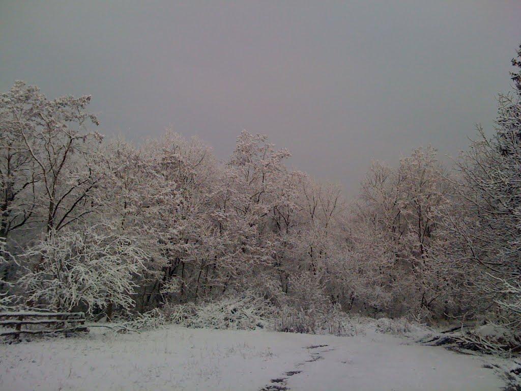 Мусіївка з panoramio.com - Мусіївка