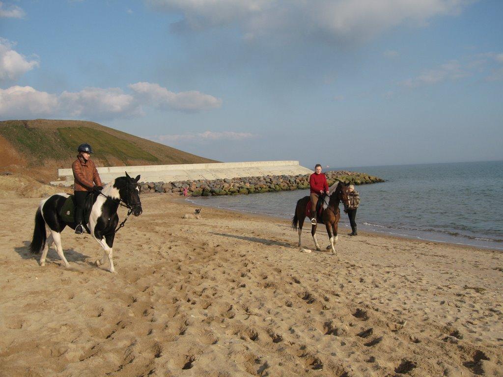 Нова Дофінівка з panoramio.com - Нова Дофінівка