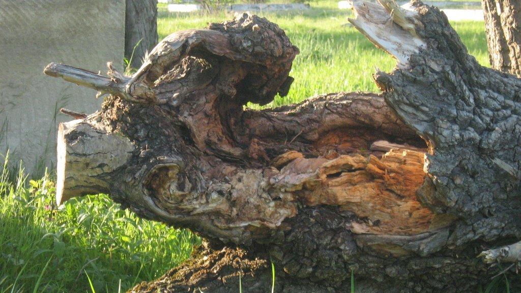 Чайковське з panoramio.com (ч.2) - Чайковское