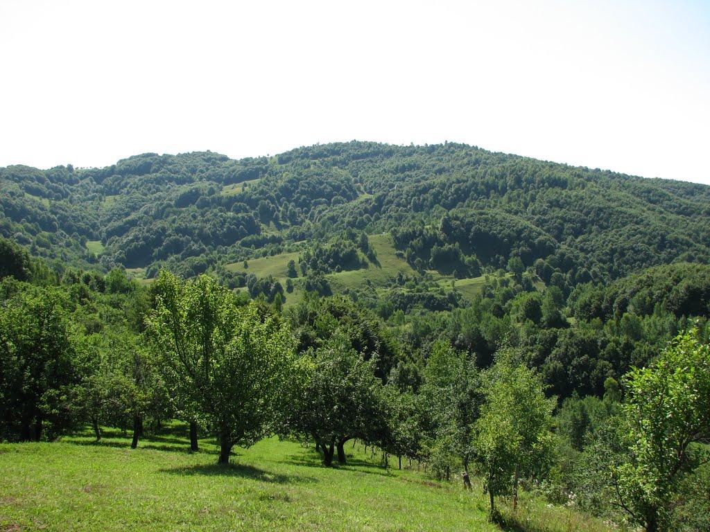 Угля з panoramio.com - Угля