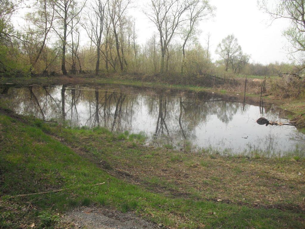 Любитове з panoramio.com - Любитово