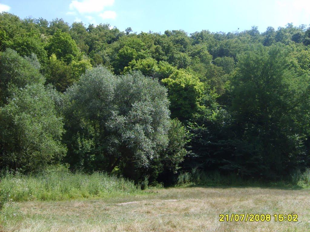 Миролюбівка з panoramio.com - Миролюбівка