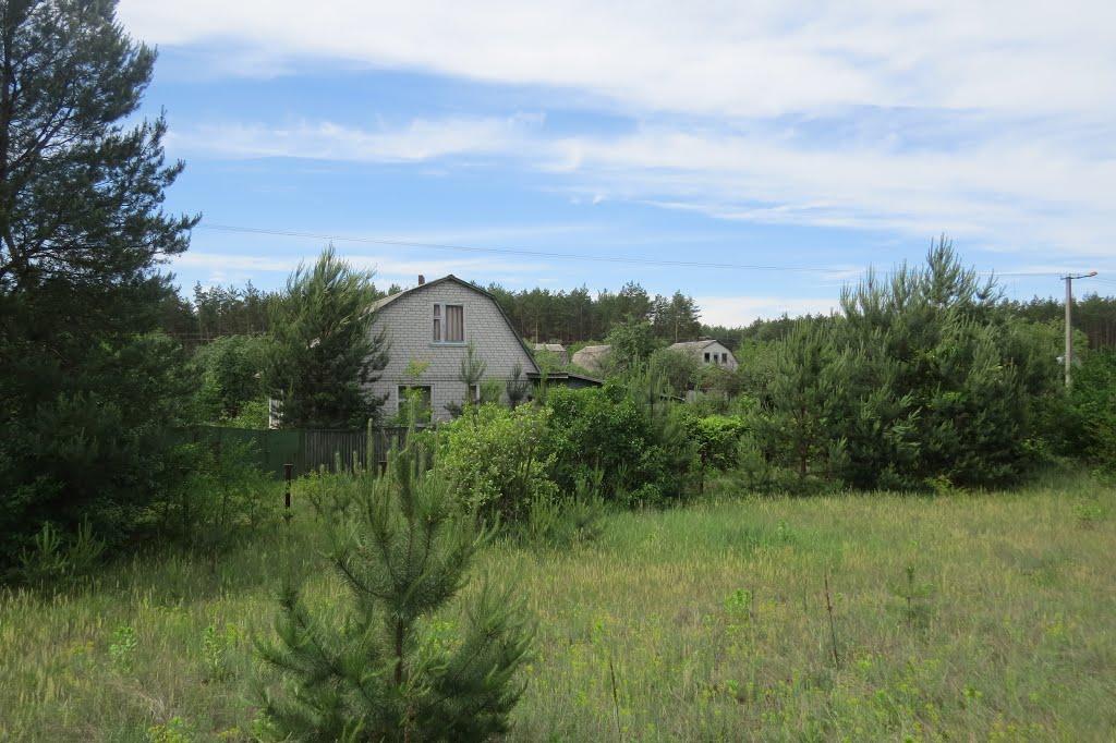 Софіївка з panoramio.com - Софиевка