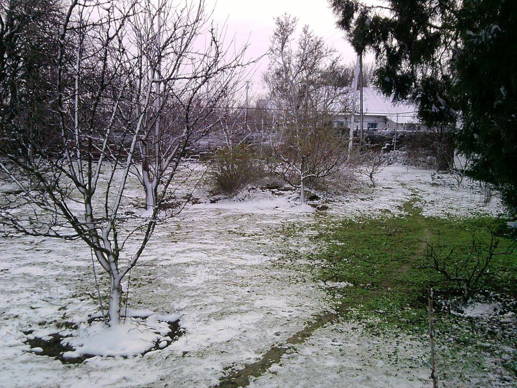 Роздольне з panoramio.com - Роздольне