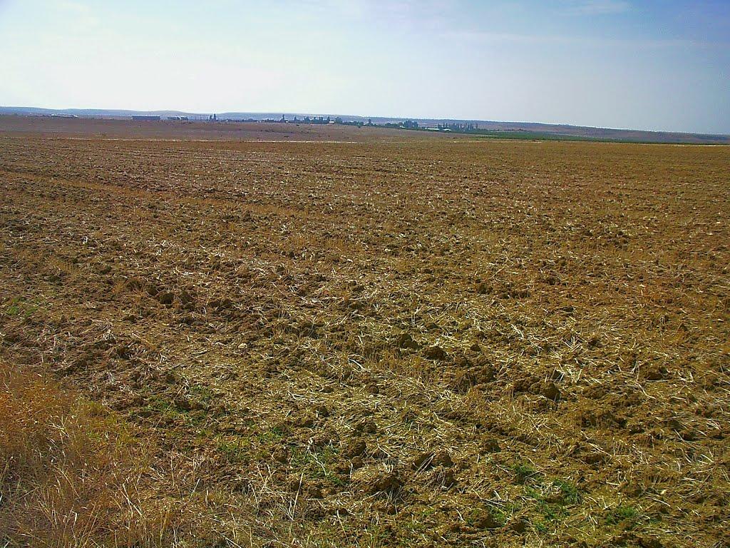 Шевченкове з panoramio.com - Шевченково