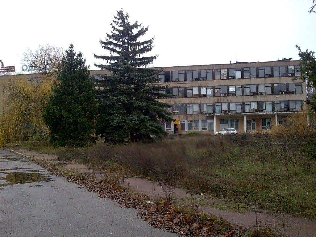 Іллічівка з panoramio.com - Іллічівка