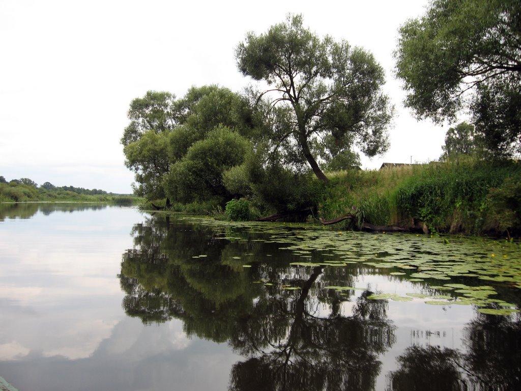 Дідковичі з panoramio.com - Дедковичи