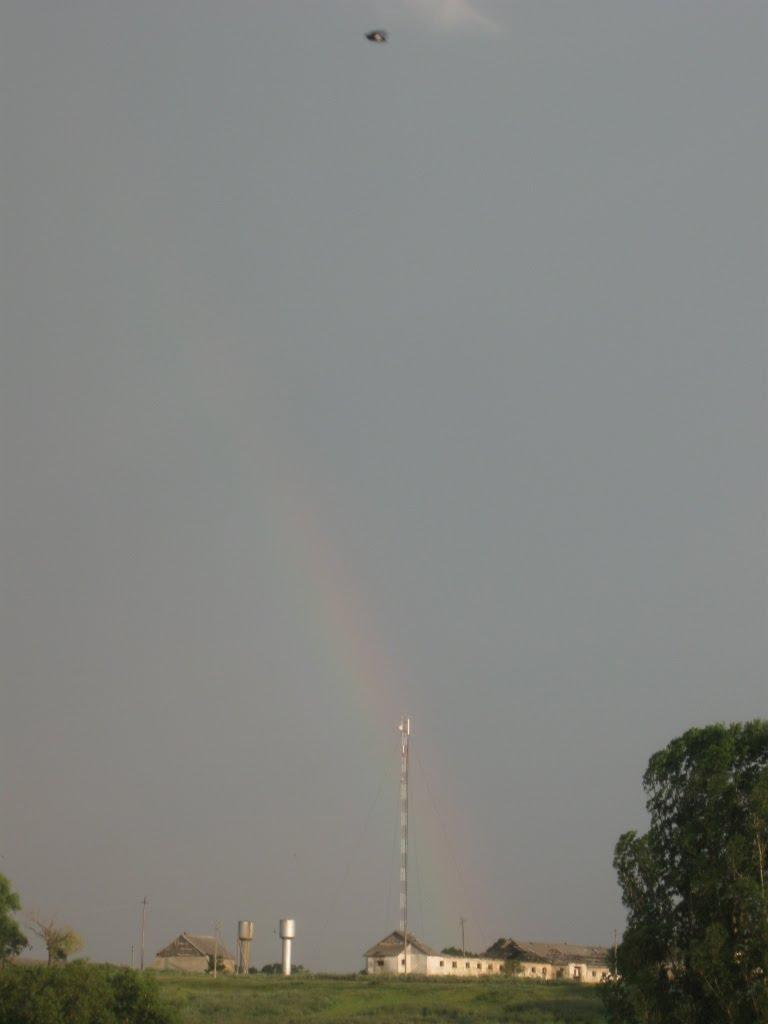 Гаврилівка з panoramio.com - Гаврилівка